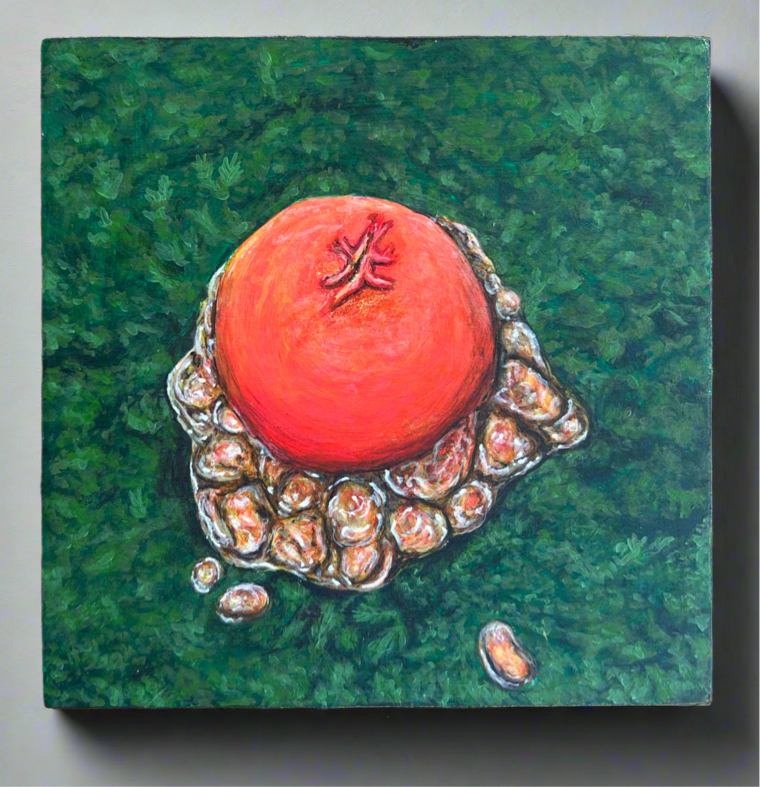 Calostoma