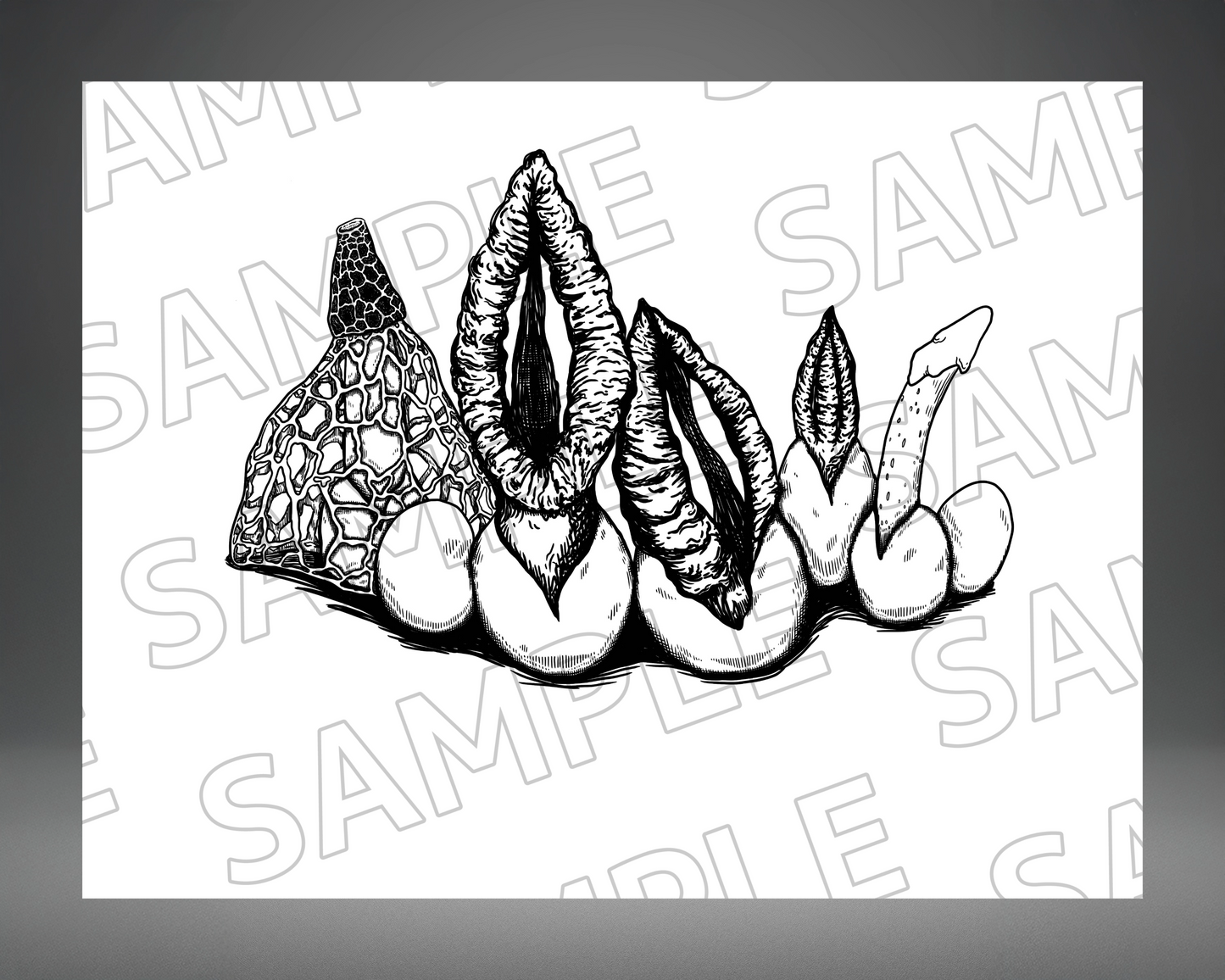 Stinkhorns Galore! - 8"x 10" Giclée Print