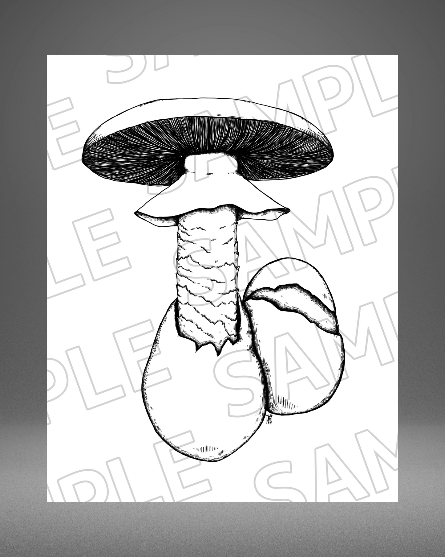 Amerivirosa - 8"x 10" Giclee Print