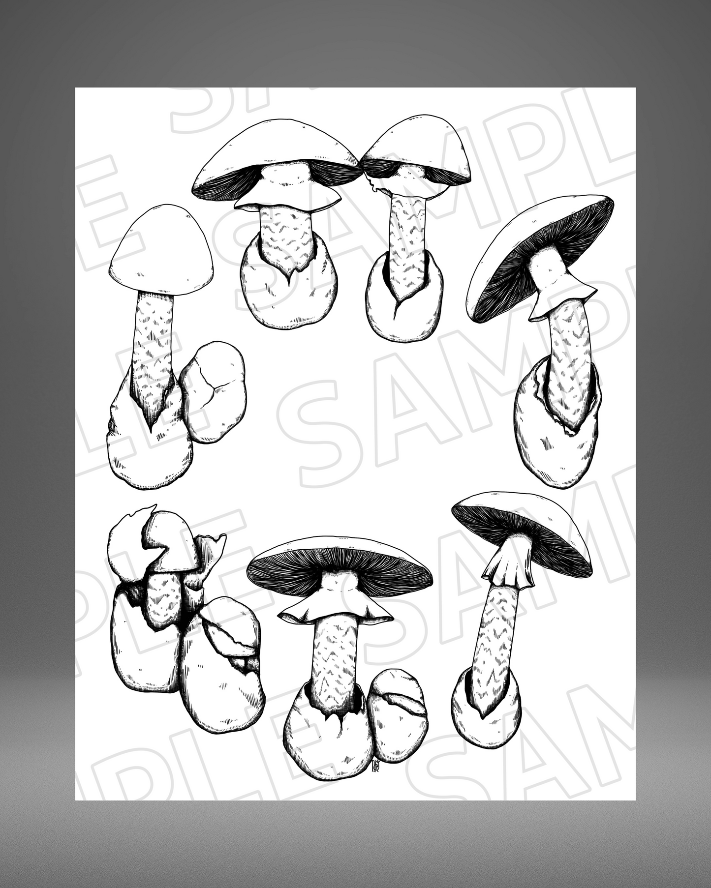 Destroying Angels Ellipse- 8" x 10" Giclée Print