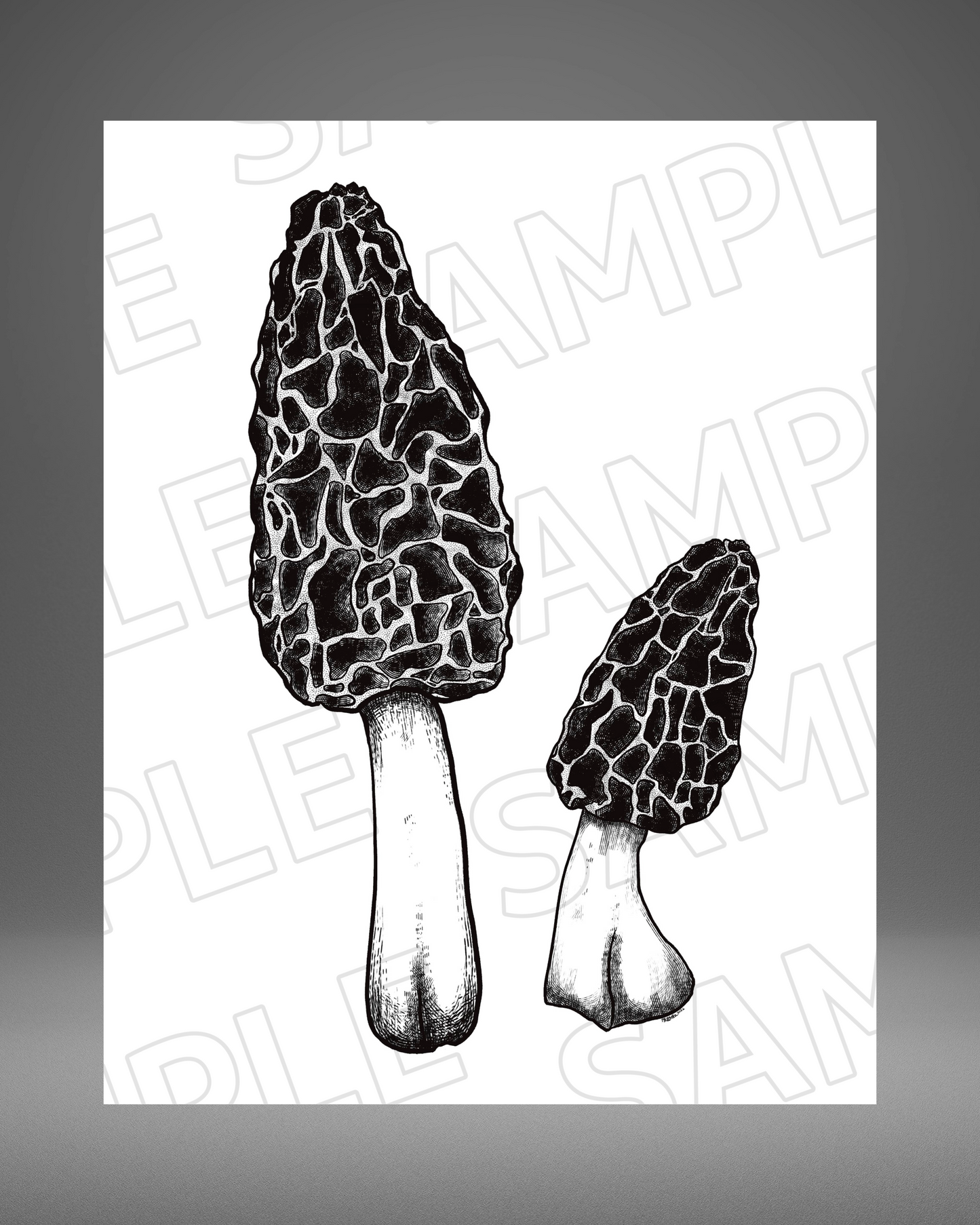 Morel - 8"x 10" Giclée Print