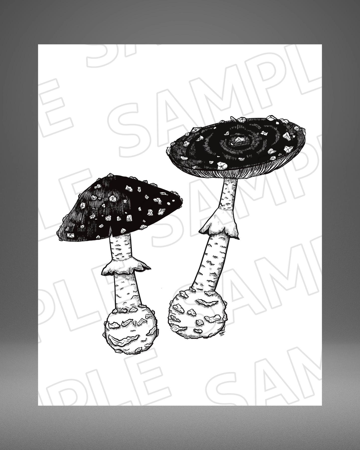 Amanita muscaria - 8"x 10" Giclée Print