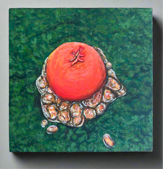 Calostoma