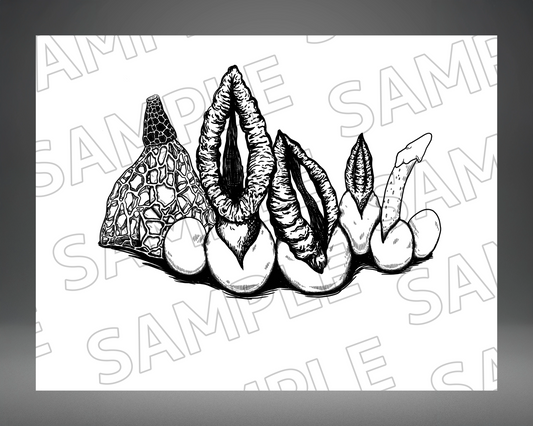 Stinkhorns Galore! - 8"x 10" Giclée Print